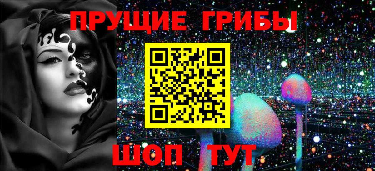 Галлюциногенные грибы Cubensis Снежинск